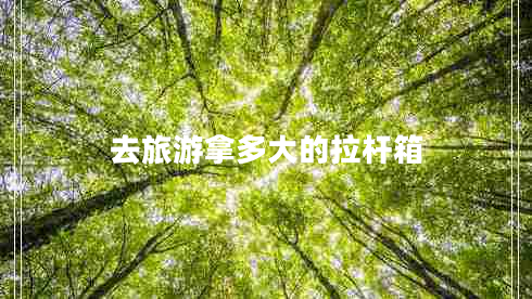 去旅游拿多大的拉桿箱