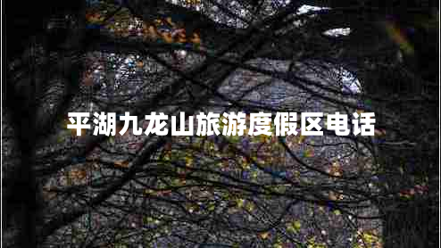 平湖九龍山旅游度假區電話(huà)
