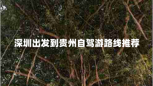 深圳出發(fā)到貴州自駕游路線(xiàn)推薦