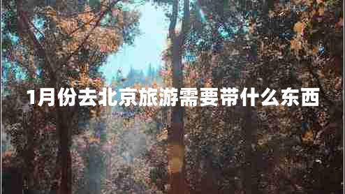 1月份去北京旅游需要帶什么東西