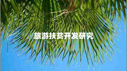 旅游扶貧開(kāi)發(fā)研究