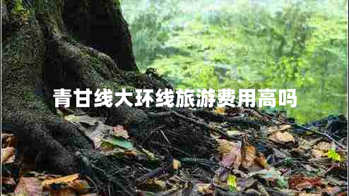 青甘線(xiàn)大環(huán)線(xiàn)旅游費用高嗎