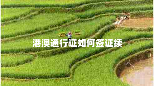 港澳通行證如何簽證續