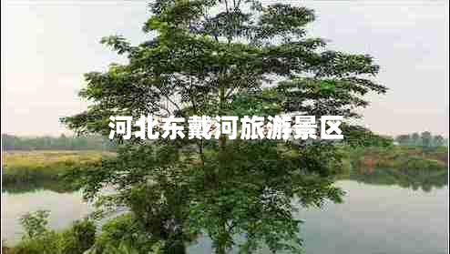 河北東戴河旅游景區