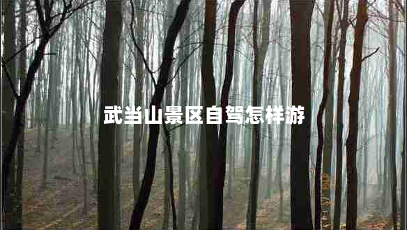 武當山景區自駕怎樣游