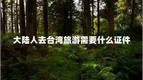 大陸人去臺灣旅游需要什么證件