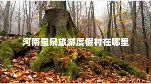 河南寶泉旅游度假村在哪里