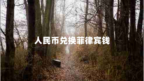 人民幣兌換菲律賓錢(qián)