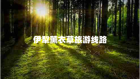 伊犁薰衣草旅游線(xiàn)路
