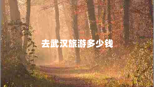 去武漢旅游多少錢(qián)