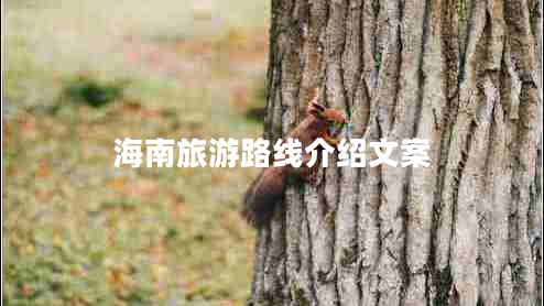 海南旅游路線(xiàn)介紹文案