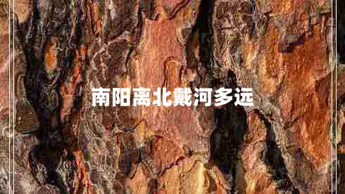 南陽(yáng)離北戴河多遠
