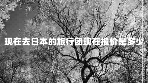 現在去日本的旅行團現在報價(jià)是多少
