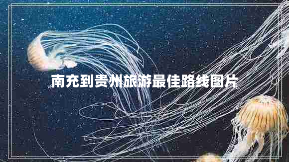 南充到貴州旅游最佳路線(xiàn)圖片
