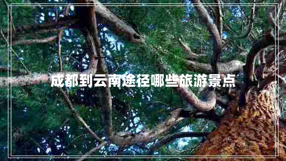 成都到云南途徑哪些旅游景點(diǎn)