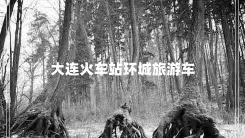 大連火車(chē)站環(huán)城旅游車(chē)