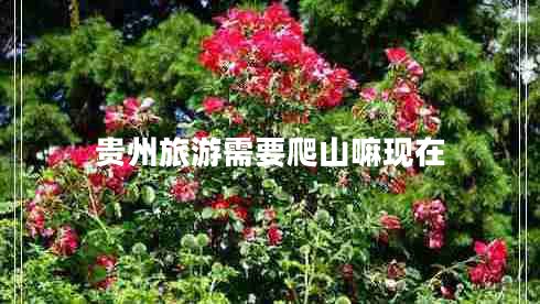 貴州旅游需要爬山嘛現在