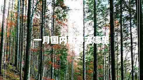 一月國內旅游去哪里