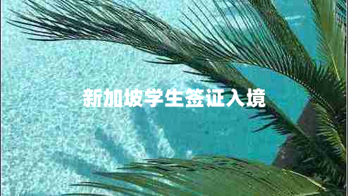新加坡學(xué)生簽證入境