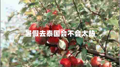 暑假去泰國會(huì )不會(huì )太熱