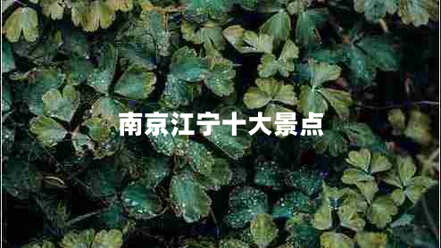 南京江寧十大景點(diǎn)