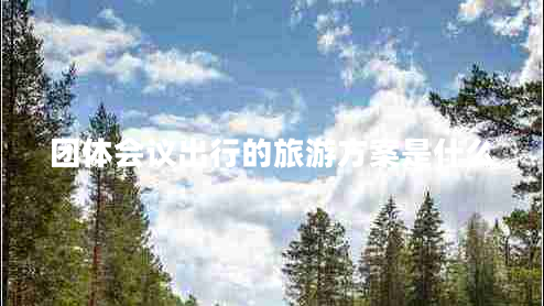 團體會(huì )議出行的旅游方案是什么