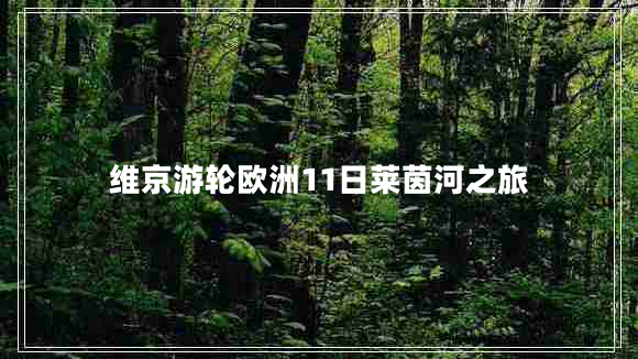 維京游輪歐洲11日萊茵河之旅