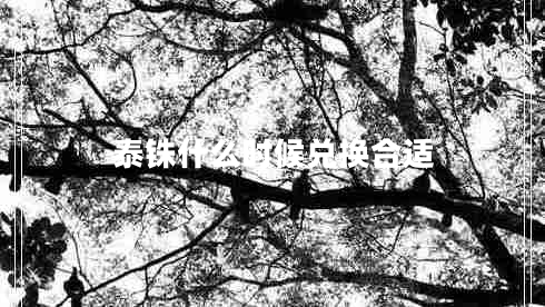 泰銖什么時(shí)候兌換合適