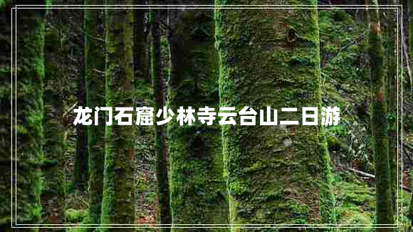 龍門(mén)石窟少林寺云臺山二日游