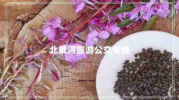 北戴河旅游公交專(zhuān)線(xiàn)