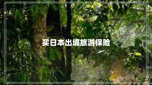 買(mǎi)日本出境旅游保險