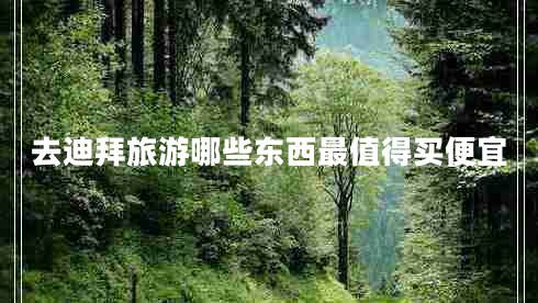 去迪拜旅游哪些東西最值得買(mǎi)便宜