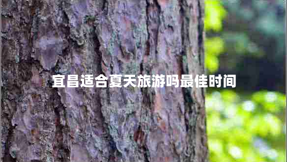 宜昌適合夏天旅游嗎最佳時(shí)間