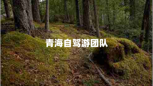 青海自駕游團隊