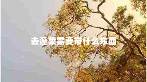 去蓬萊需要帶什么東西