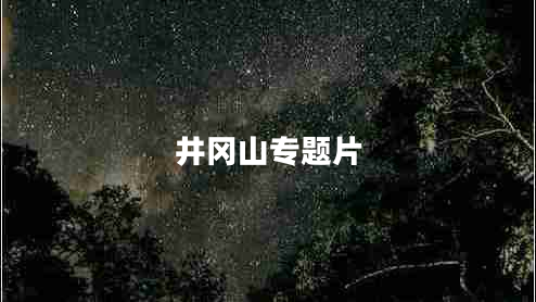 井岡山專(zhuān)題片