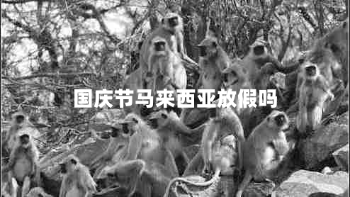 國慶節馬來(lái)西亞放假嗎