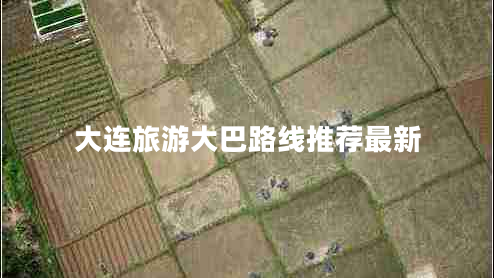 大連旅游大巴路線(xiàn)推薦最新