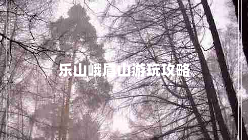 樂(lè )山峨眉山游玩攻略