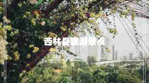 西林縣旅游景點(diǎn)