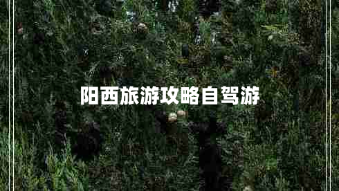 陽(yáng)西旅游攻略自駕游