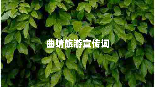 曲靖旅游宣傳詞