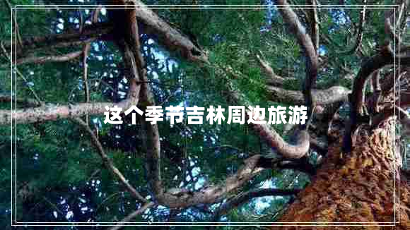 這個(gè)季節吉林周邊旅游