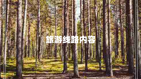 旅游線(xiàn)路內容
