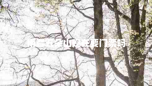 南召五朵山現在要門(mén)票嗎
