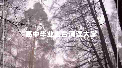 高中畢業(yè)去臺灣讀大學(xué)