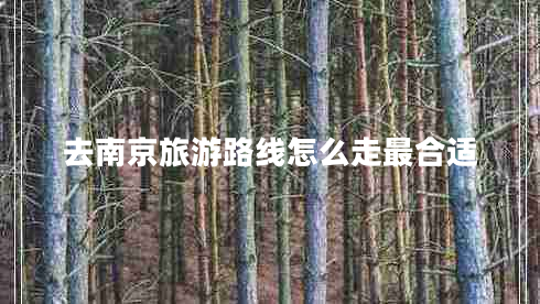 去南京旅游路線(xiàn)怎么走最合適