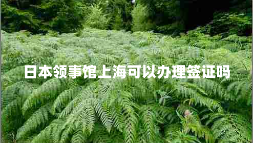 日本領(lǐng)事館上海可以辦理簽證嗎