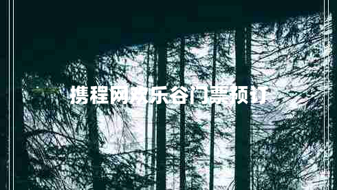 攜程網(wǎng)歡樂(lè )谷門(mén)票預訂