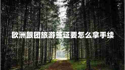歐洲跟團旅游簽證要怎么拿手續